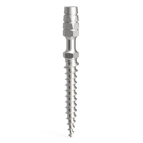 Temporary ProImplant implants, D2.1