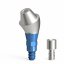 A Screw-On bridge screw and abutment screw are delivered with the abutment.