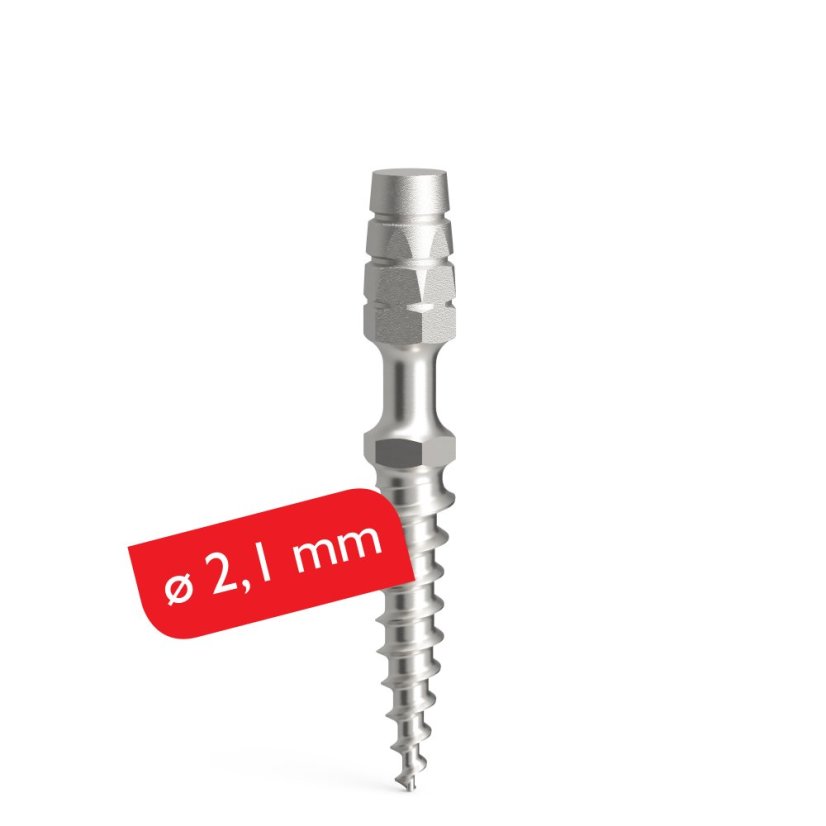 Temporäre Implantate ProImplant, D2.1 - Enossaler Teil: 10 mm