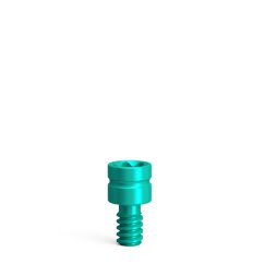 Screw-On bridge screw AN/tx1.9