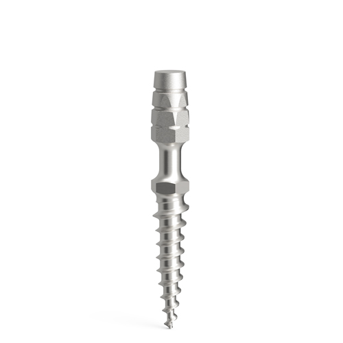 Temporary ProImplant implants, D2.1