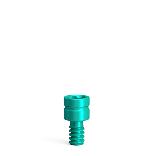 Screw-On bridge screw AN/tx1.9