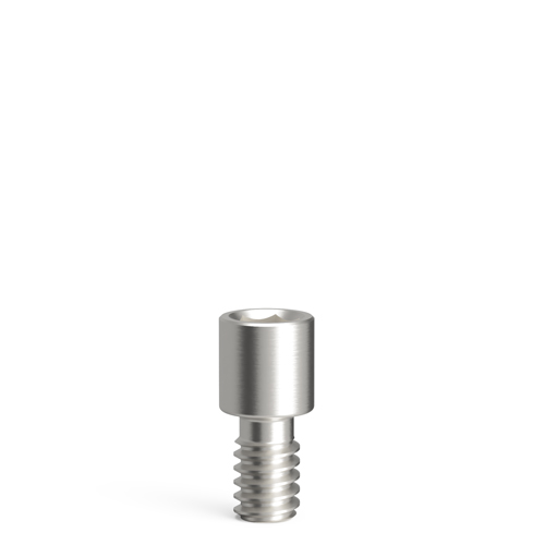 Screw-On bridge screw, hex 1.25
