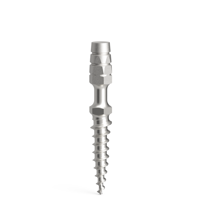 Temporäre Implantate ProImplant, D2.1 - Enossaler Teil: 10 mm