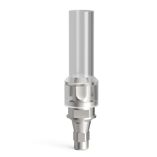 Cast-On abutments for LASAK BioniQ, QN/d3.8, indexed