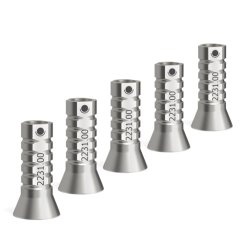 Screw-On temporary coping, d4.6, set of 5 pcs. (without screws)