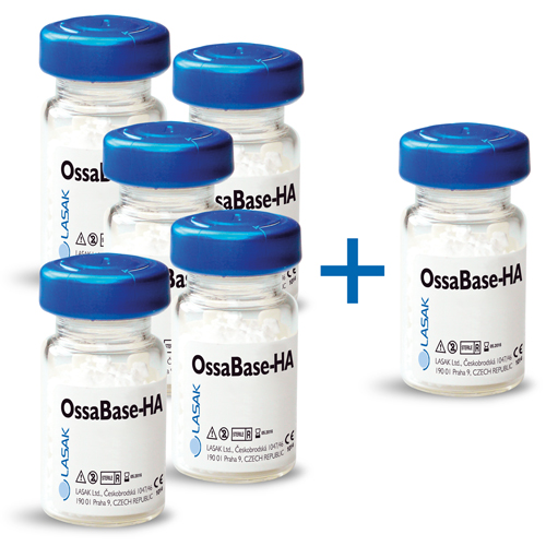 5+1: Knochenersatzmaterial OssaBase-HA, Korngröße 1,0–2,0 mm - Packungsgröße: 1.0 ml/0.4 g